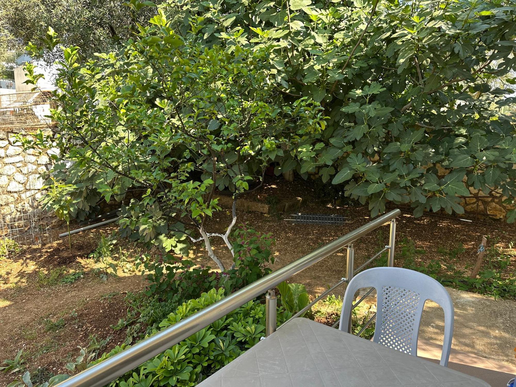 Leilighet Meleqi *